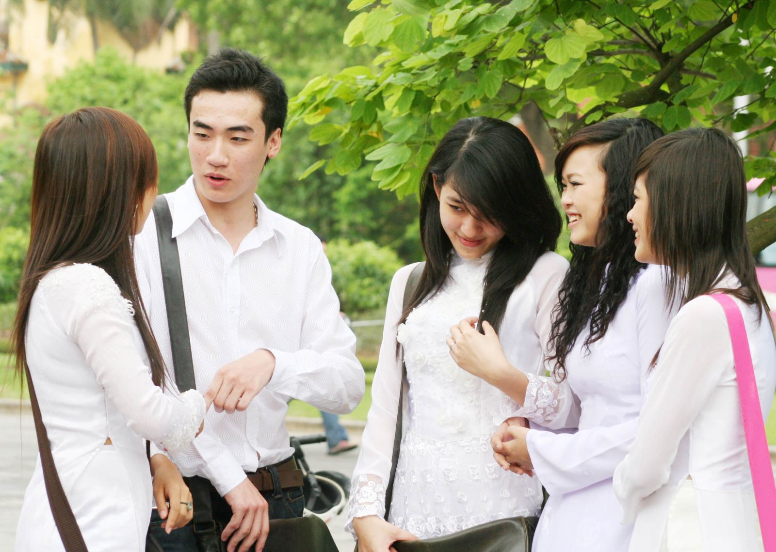 Language of Vietnamese Teen